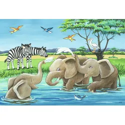 Tierkinder aus aller Welt