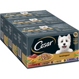 Cesar Hundefutter Nassfutter Landküche Vielfalt in Sauce 24 Schalen (3 x 8 x 150 g)