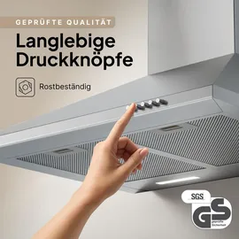 Levivo Dunstabzugshaube 60 cm Silber