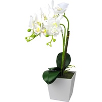 Steinmann Kunst Orchidee im rechteckigen Topf – Farbecht - Pflegeleicht – (Topf Weiß - 50cm, Weiß)