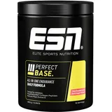 ESN Perfect Base Pulver 450 g