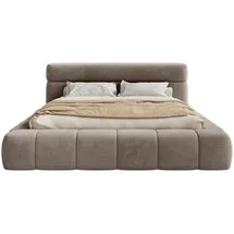 FEDVE Polsterbett Taupe Textil, 140x200 cm, - Taupe