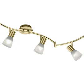Trio Levisto 6-flg. (871010608)