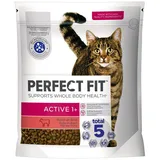 PERFECT FIT Active 1+ mit Rind 1,4 kg