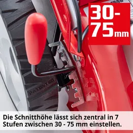 Hecht 1845 1800 W