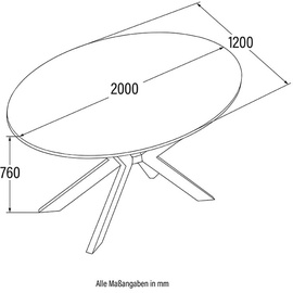 Home Deluxe Esstisch Oval AVENTIS inkl. Sternfuß - 200 x 120 cm Fishbone Oak |Küchentisch, Esszimmer, Esszimmertisch