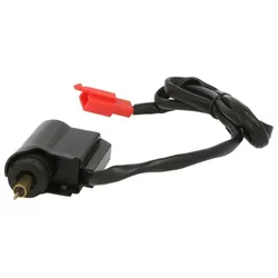Vergaser INPARTS IP000481