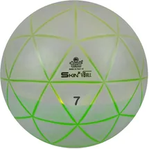 TRIAL Gewichtsball Skin Ball 7 kg 30 cm