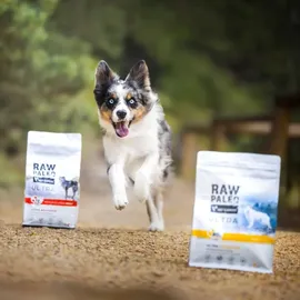 raw paleo Ultra Truthahn Puppy 2 kg