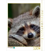 Calvendo Puzzle EIN Motiv aus dem Kalender Waschbär -