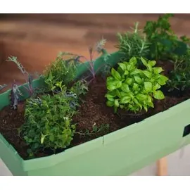 Gusta Garden Hochbeet Sammy Salad 79 x 37,5 x 95 cm dunkelgrün