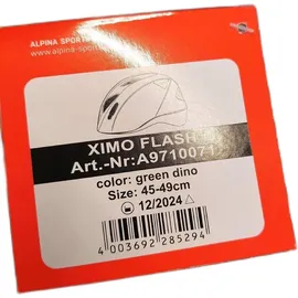 Alpina Ximo Flash 45-49 cm Kinder green dino 2020