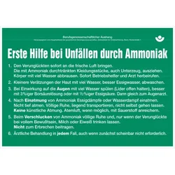 Aushang, Erste Hilfe bei Unfällen durch Ammoniak, Aluminium, 300 x 430 mm - 430x300x0.6 mm Aluminium geprägt