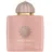 Amouage Odyssey Guidance Eau de Parfum 100 ml