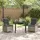 vidaXL Garten Essgruppe 3-tlg. Hellgrau