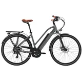 AsVIVA B15 E-Bike 250W, 25 km/h, Akku, LED, Scheibenbremsen, Citybike, Heckmotor - Grau