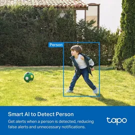 Tapo C410 1 St.