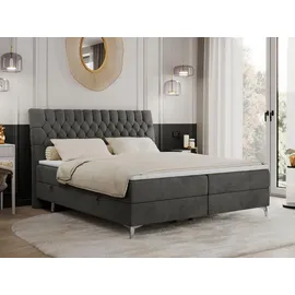 MKS Boxbett, MILEN 160/200 Dunkelgrau Velvet - H4
