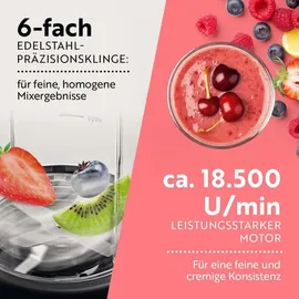 GOURMETmaxx Nutrition Mixer Pro 1.000 Standmixer