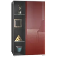 Vladon Standvitrine Davos (Standvitrine, mit 3 Glasböden und 8