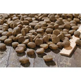 Bewi Dog Sport 25 kg