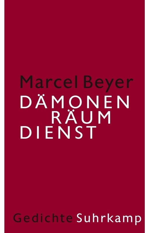 Dämonenräumdienst - Marcel Beyer, Leinen