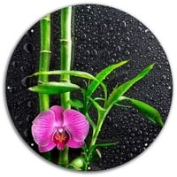 Wallario Sichtschutzzaunmatten Bambus und pinke Orchidee auf schwarzem Glas mit Regentropfen, rund schwarz 60 cm x 60 cm