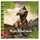 ROTH Freundebuch Tyrannosaurus