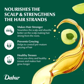 Dabur Amla Hair Oil 100 ml