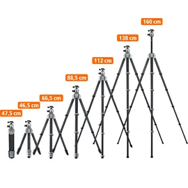 Rollei Lion Rock Traveler Pro mit außergew√∂hnlicher Tragkraft