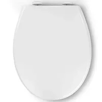  Pipishell Toilettendeckel Absenkautomatik Quick Release Kunststoffversion 