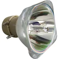 Philips Beamerlampe (nur Leuchtmittel) für BENQ (ersetzt: 5J.J6D05.001)