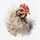 Luca-S Kreuzstich Stickpackung mit Stickrahmen Das Huhn Zählmuster