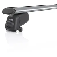 Aterapool Dachträger 047261