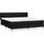 vidaXL Boxspringbett mit Matratze Schwarz 180x200 cm Stoff
