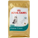 Royal Canin Kitten Maine Coon