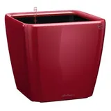 LECHUZA Quadro LS 35 Komplettset 35 x 35 x 33 cm scarlet rot hochglanz