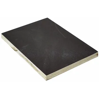 Sieb/Film Birke 18mm 2500x1250x18 mm