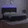 vidaXL Boxspringbett mit Matratze & LED Schwarz 160x200 cm Samt