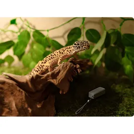 SwitchBot Smart Bundle 3er Pack Smartes Thermo Hygrometer Hub Mini Weiß