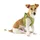 Curli Clasp Vest Hundegeschirr Fuchsia 3XS