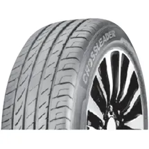 Doublestar DU01 245/50 R18 100 V