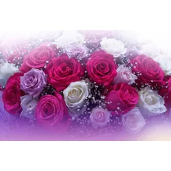 Fototapete PAPERMOON "ROSEN-BLUMEN FANTASIE ABSTRAKT KUNST TEXTUR DESIGN ART", bunt, B:3,50m L:2,60m, Vlies, Tapeten