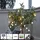 Best Season LED-Lichterkette Balls 2,7 m Weiß