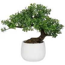 luxuskollektion Kunstpflanze Bonsai Baum im Keramiktopf 25 cm Podocarpus