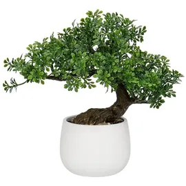 luxuskollektion Kunstpflanze Bonsai Baum im Keramiktopf 25 cm Podocarpus