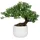 luxuskollektion Kunstpflanze Bonsai Baum im Keramiktopf 25 cm Podocarpus