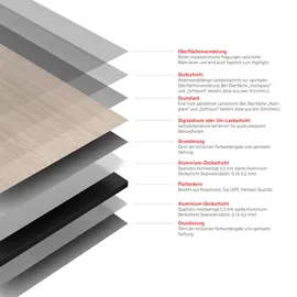 Schulte Duschrückwand Beige