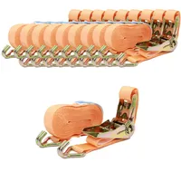 Baumarktplus 10x Profi Ratschen Spanngurt Spanngurte Zurrgurt 2-tlg 6m