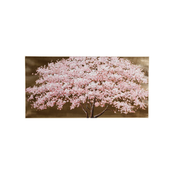 Bild Kirschblüte